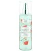 B&M I Love Fruits Scented Body Mist 250ml - Watermelon -Care Product Shop 396381 body mist 250ml watermelon